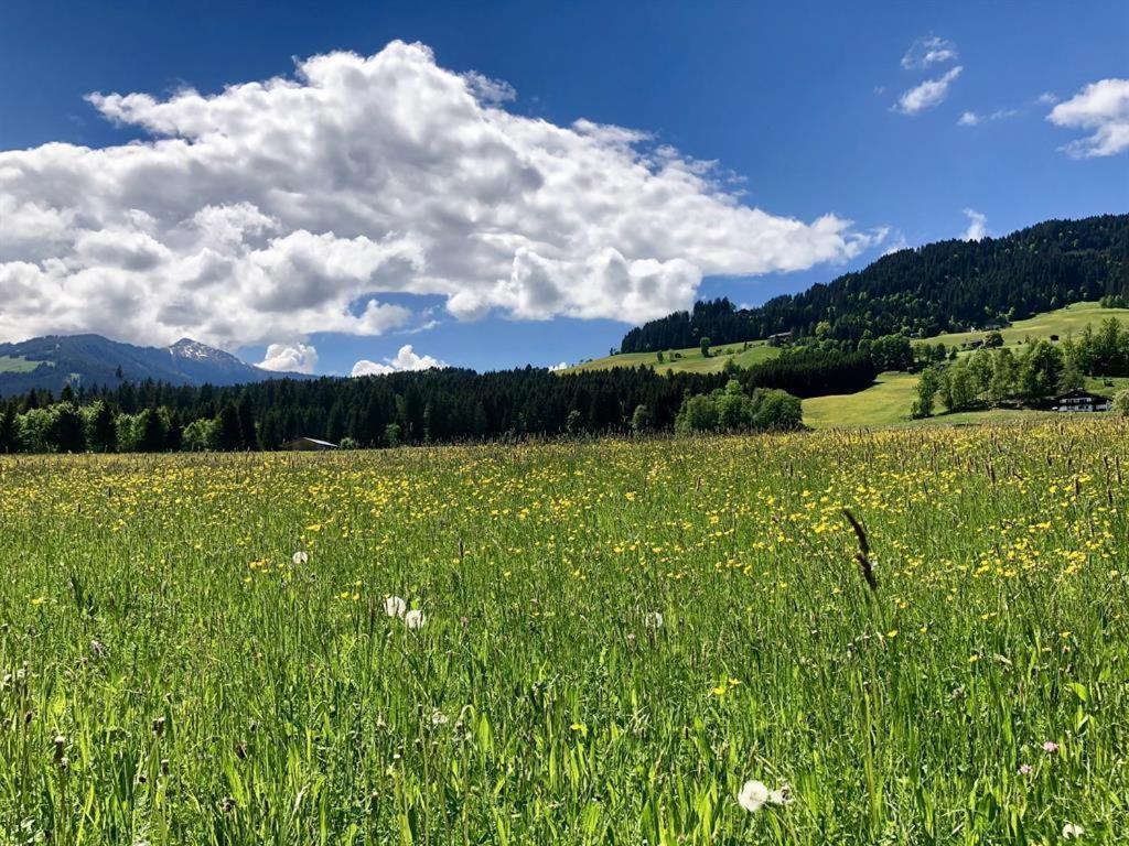 Pension Heidelberg - Fam Fuchs Хопфгартен-им-Бриксенталь Экстерьер фото