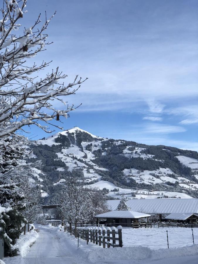 Pension Heidelberg - Fam Fuchs Хопфгартен-им-Бриксенталь Экстерьер фото